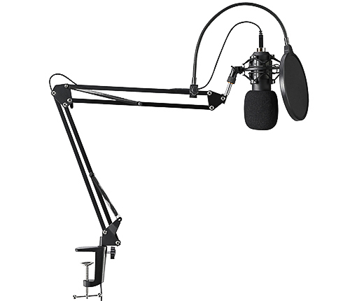 Mikrofon med skrivbordsfäste