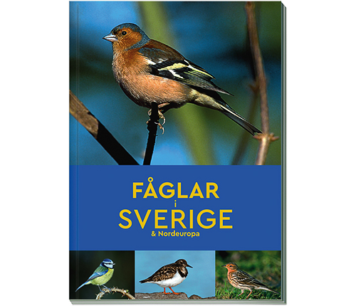 Fåglar i Sverige & Nordeuropa