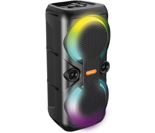 Party Speaker